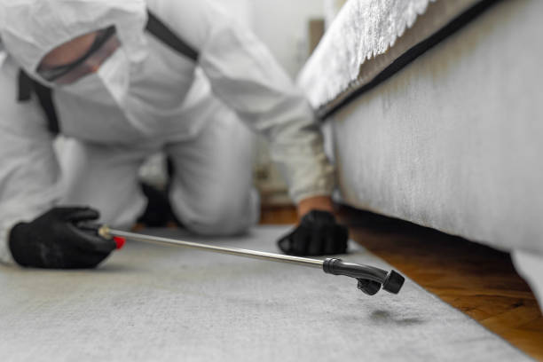 Professional Bed Bug Control technician working in New Richmond, OH