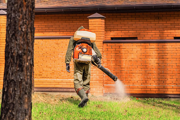 Trusted Ant Control service in New Richmond, OH - Nex Pest Control